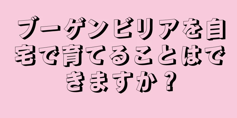 ブーゲンビリアを自宅で育てることはできますか？