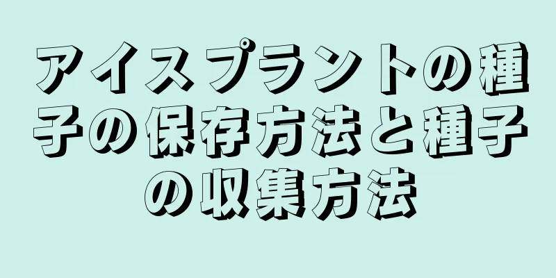アイスプラントの種子の保存方法と種子の収集方法