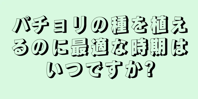 パチョリの種を植えるのに最適な時期はいつですか?