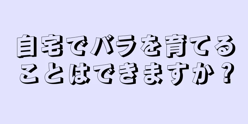 自宅でバラを育てることはできますか？