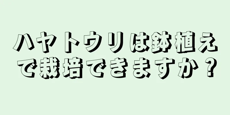 ハヤトウリは鉢植えで栽培できますか？