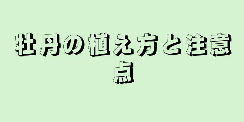 牡丹の植え方と注意点