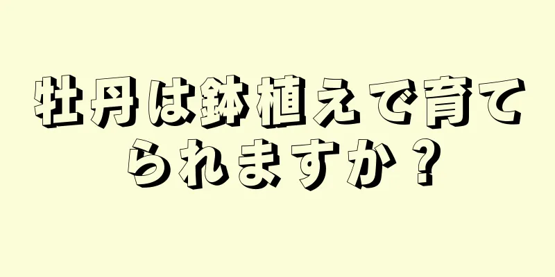牡丹は鉢植えで育てられますか？