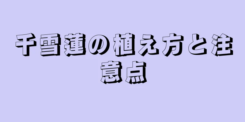 千雪蓮の植え方と注意点