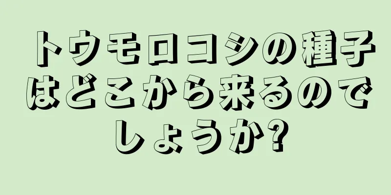 トウモロコシの種子はどこから来るのでしょうか?