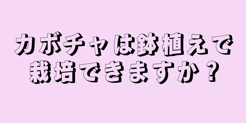 カボチャは鉢植えで栽培できますか？