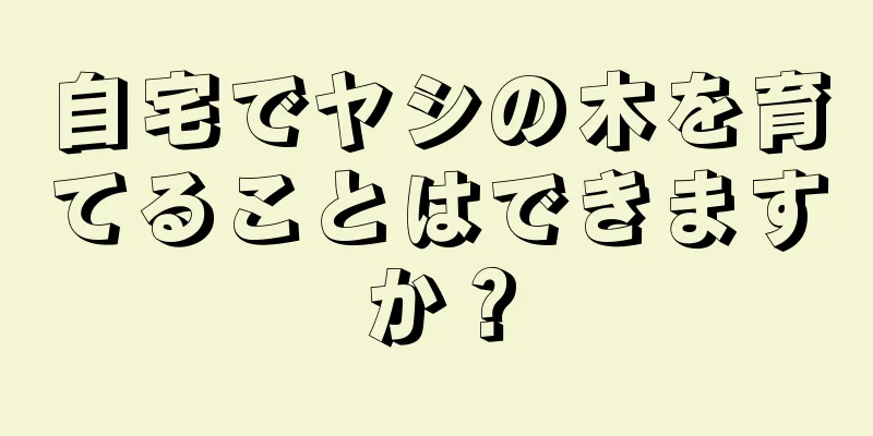 自宅でヤシの木を育てることはできますか？