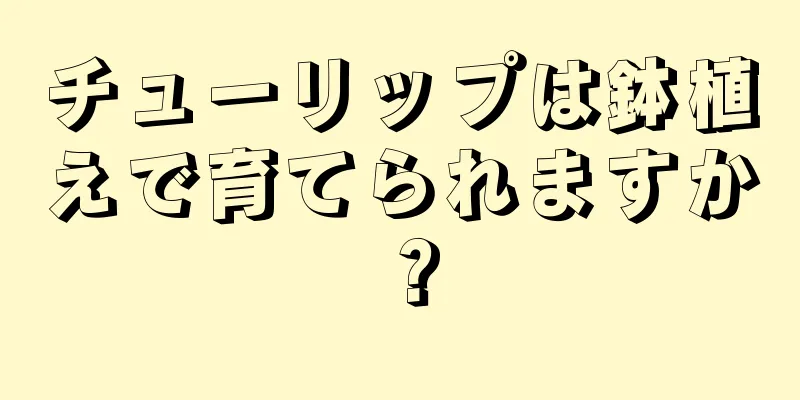 チューリップは鉢植えで育てられますか？