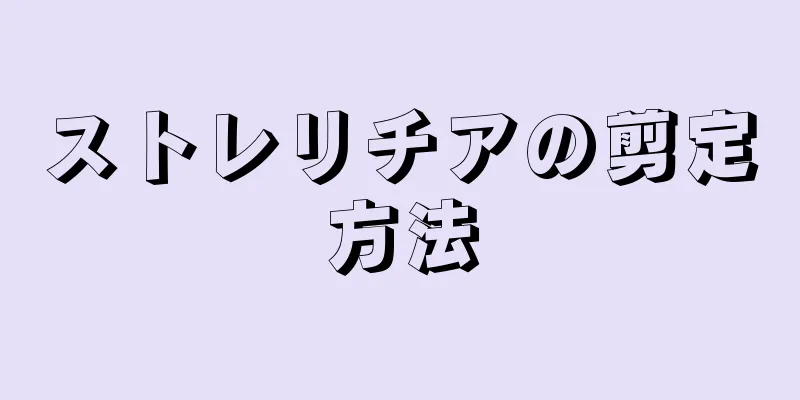 ストレリチアの剪定方法