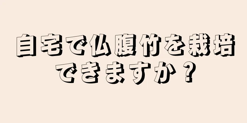 自宅で仏腹竹を栽培できますか？