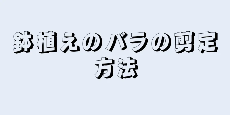 鉢植えのバラの剪定方法