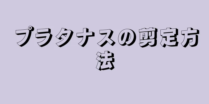 プラタナスの剪定方法