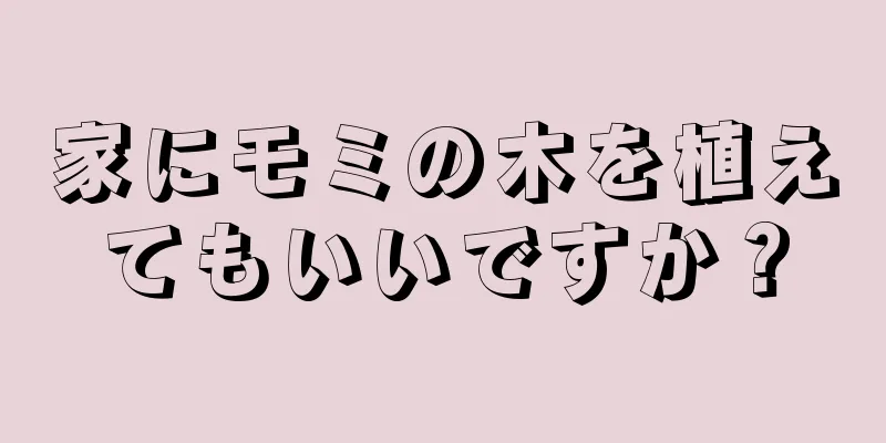 家にモミの木を植えてもいいですか？