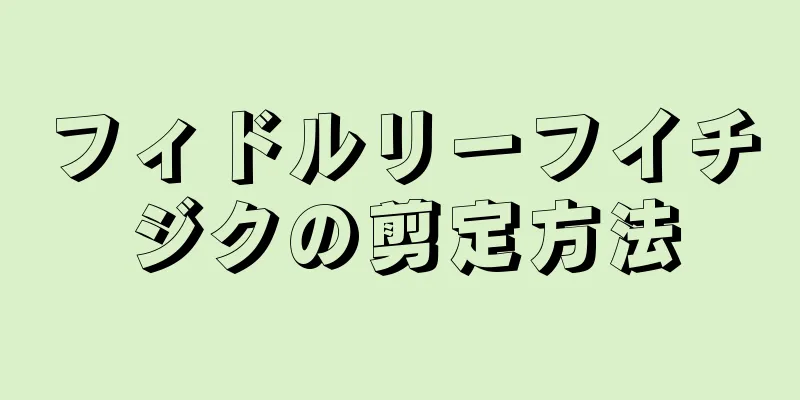 フィドルリーフイチジクの剪定方法