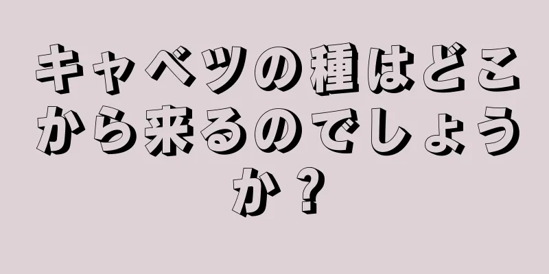 キャベツの種はどこから来るのでしょうか？