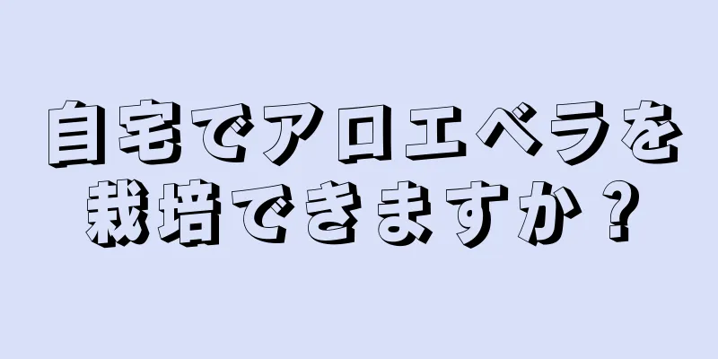 自宅でアロエベラを栽培できますか？