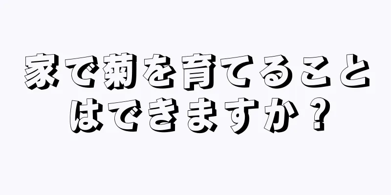 家で菊を育てることはできますか？