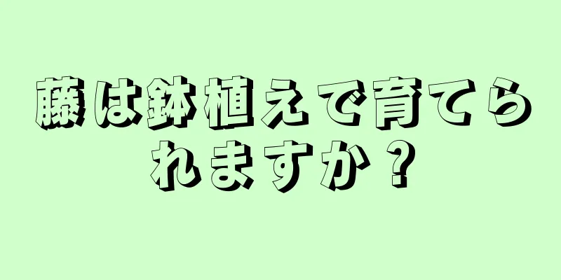 藤は鉢植えで育てられますか？