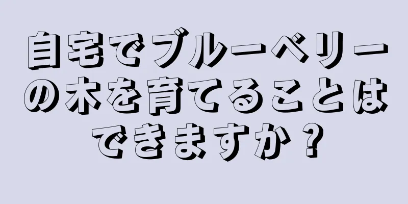 自宅でブルーベリーの木を育てることはできますか？