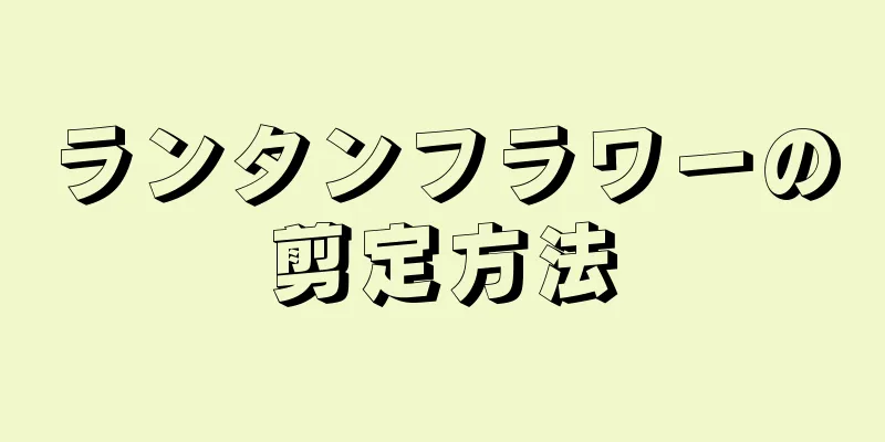 ランタンフラワーの剪定方法