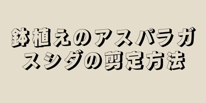 鉢植えのアスパラガスシダの剪定方法