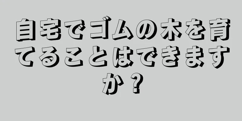 自宅でゴムの木を育てることはできますか？