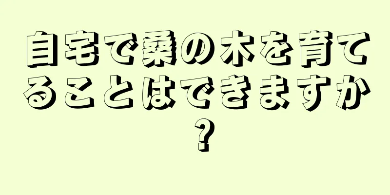 自宅で桑の木を育てることはできますか？