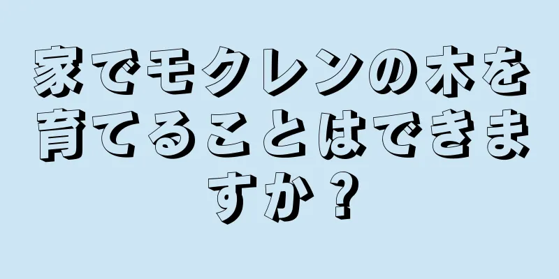 家でモクレンの木を育てることはできますか？