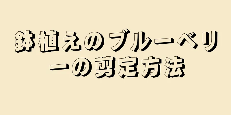 鉢植えのブルーベリーの剪定方法