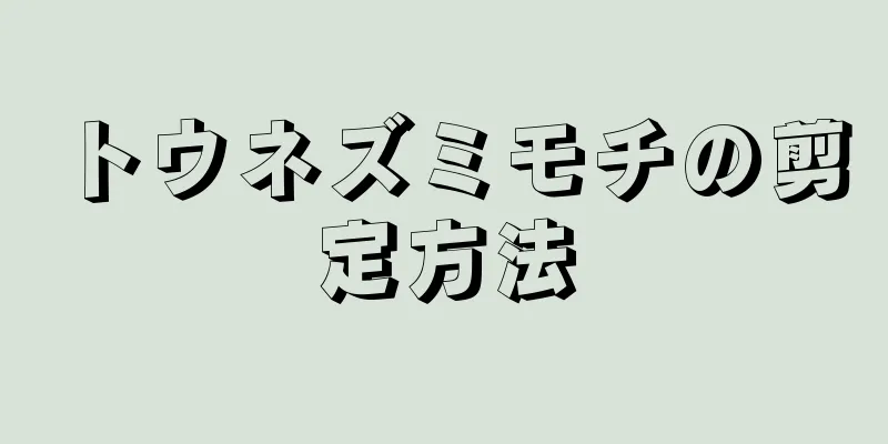 トウネズミモチの剪定方法