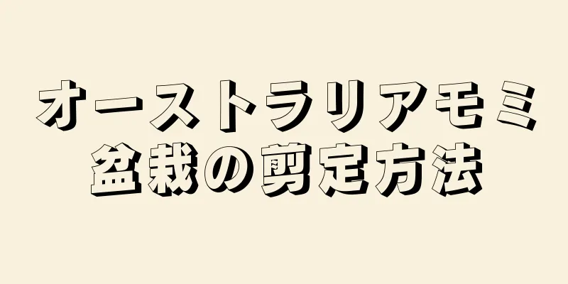 オーストラリアモミ盆栽の剪定方法