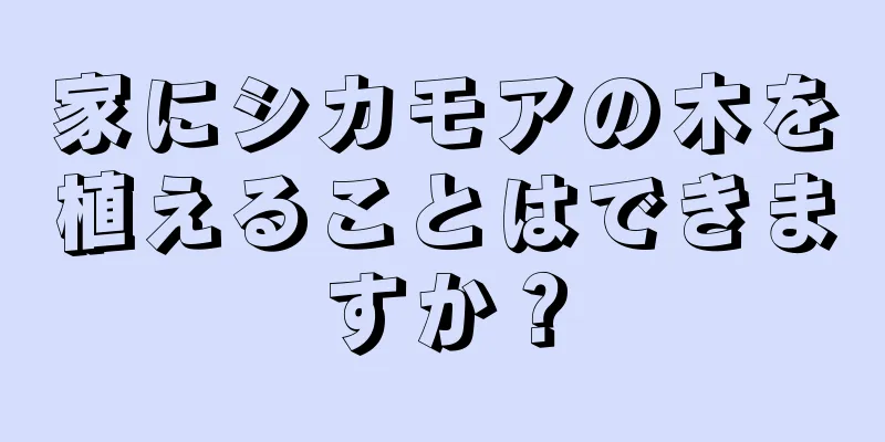 家にシカモアの木を植えることはできますか？