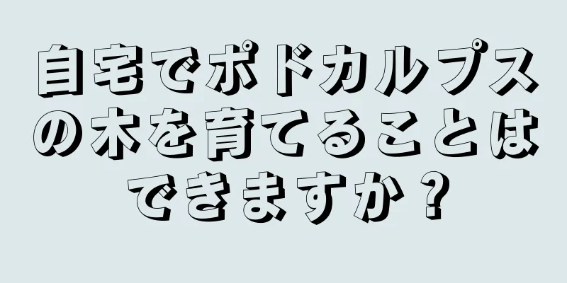 自宅でポドカルプスの木を育てることはできますか？