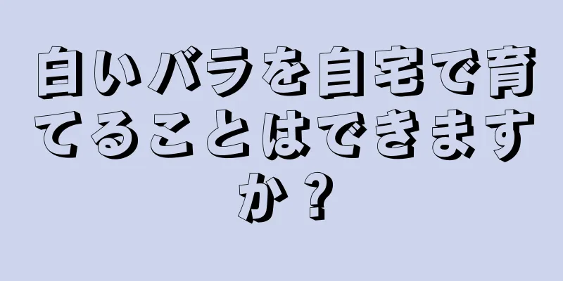 白いバラを自宅で育てることはできますか？