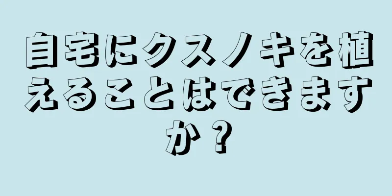 自宅にクスノキを植えることはできますか？