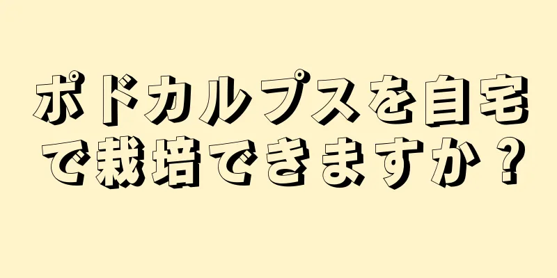 ポドカルプスを自宅で栽培できますか？