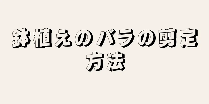 鉢植えのバラの剪定方法