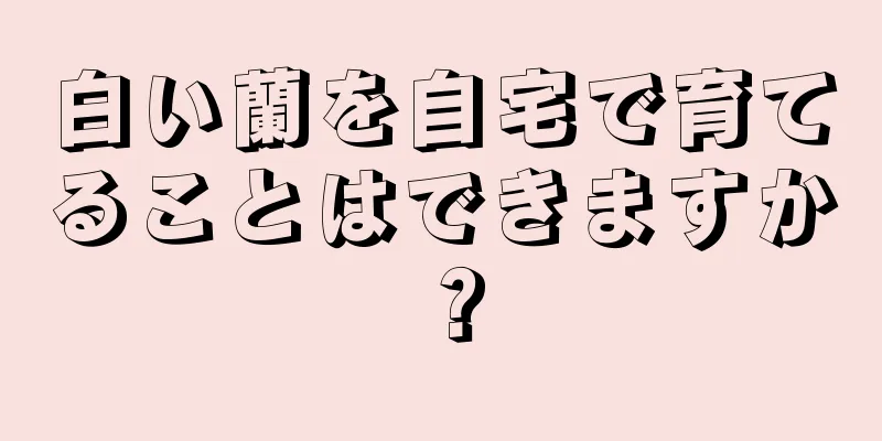 白い蘭を自宅で育てることはできますか？
