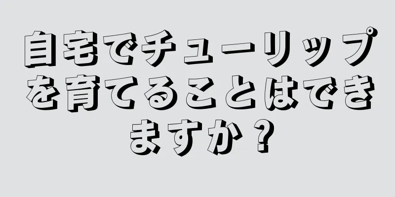 自宅でチューリップを育てることはできますか？