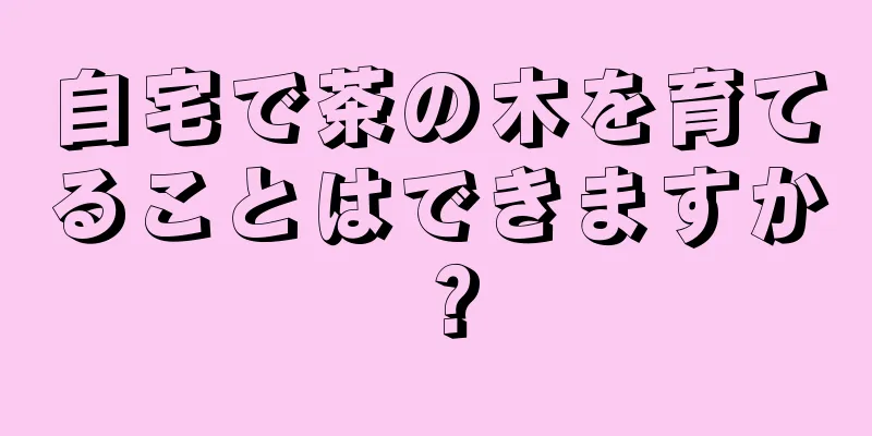 自宅で茶の木を育てることはできますか？
