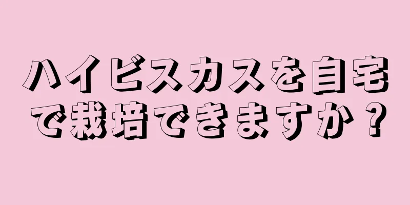 ハイビスカスを自宅で栽培できますか？