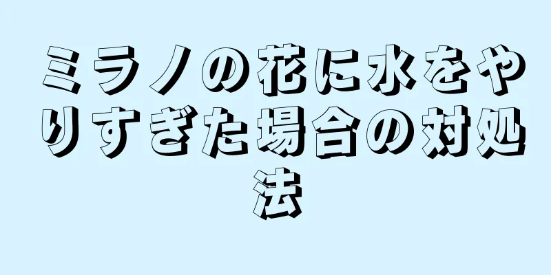 ミラノの花に水をやりすぎた場合の対処法