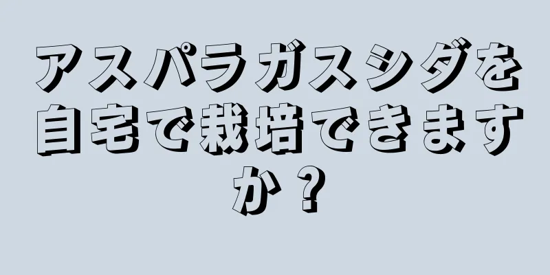 アスパラガスシダを自宅で栽培できますか？