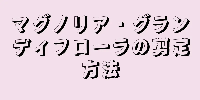 マグノリア・グランディフローラの剪定方法