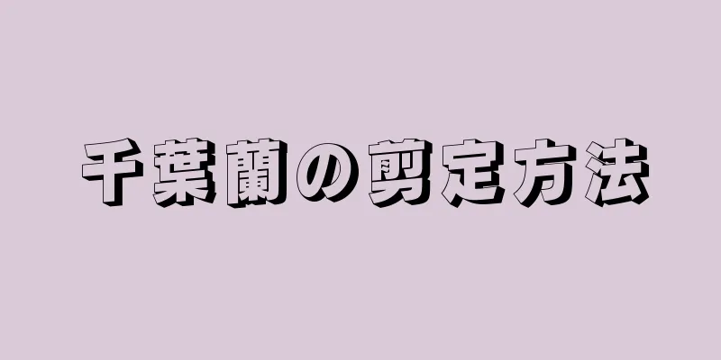 千葉蘭の剪定方法