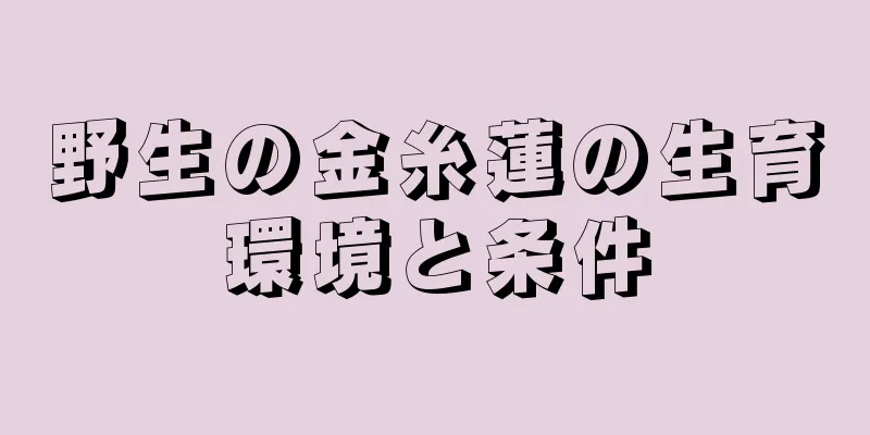 野生の金糸蓮の生育環境と条件