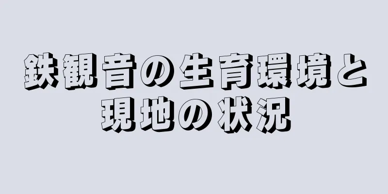 鉄観音の生育環境と現地の状況