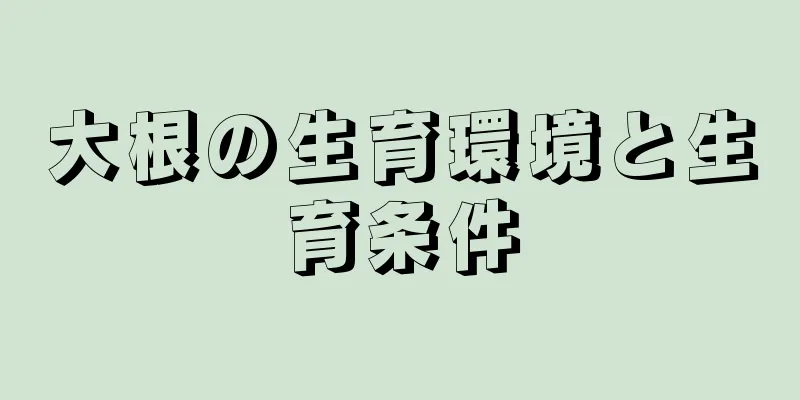 大根の生育環境と生育条件