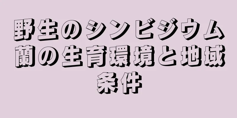 野生のシンビジウム蘭の生育環境と地域条件