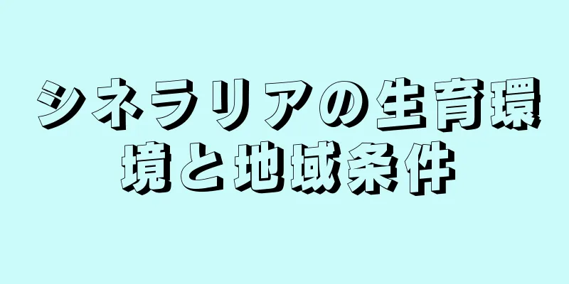 シネラリアの生育環境と地域条件